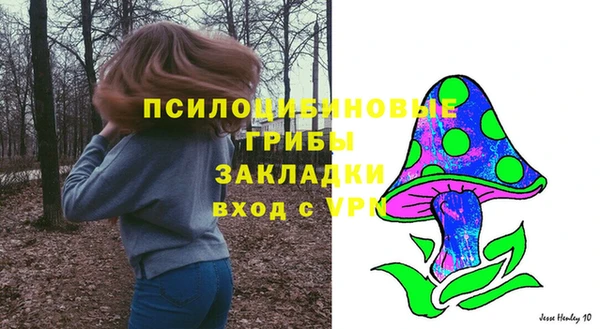 ешки Саяногорск